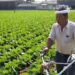 Inovasi dalam Industri Pertanian Jepang Untuk Masa depan